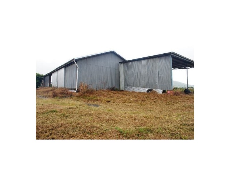 Babinda QLD 4861