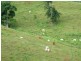 Innisfail QLD 4860