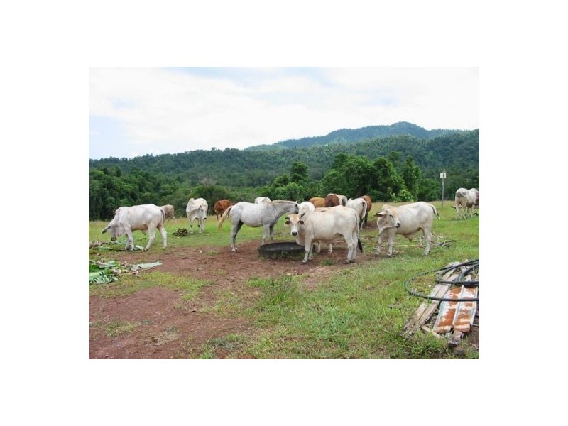 Babinda QLD 4861