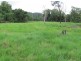 Babinda QLD 4861