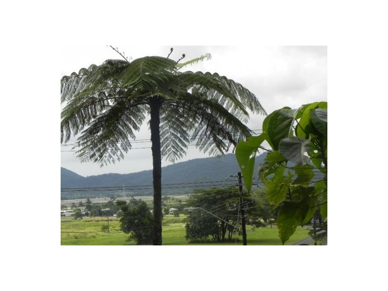 36 Angus Street, Babinda QLD 4861