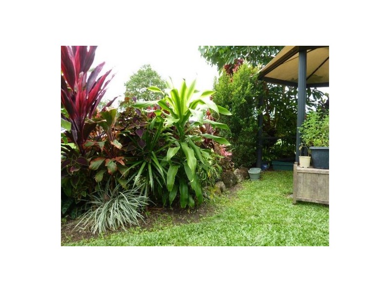 13 Wilkie street, Babinda QLD 4861