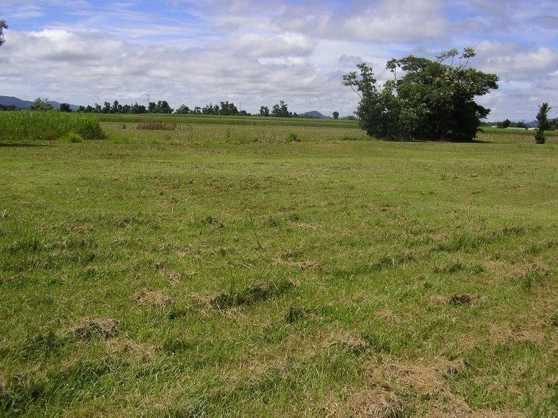 Babinda QLD 4861