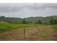 Babinda QLD 4861