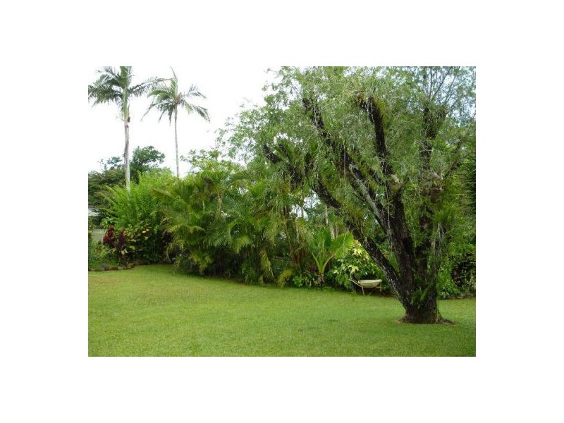 21 Middle Avenue, South Johnstone QLD 4859