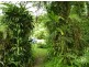 Babinda QLD 4861