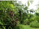 Babinda QLD 4861