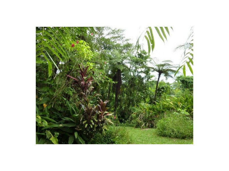 Babinda QLD 4861