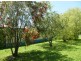 21 Church Street, Babinda QLD 4861