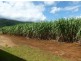 Babinda QLD 4861