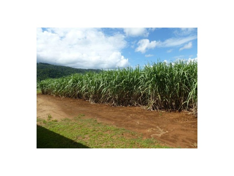 Babinda QLD 4861