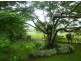 Babinda QLD 4861