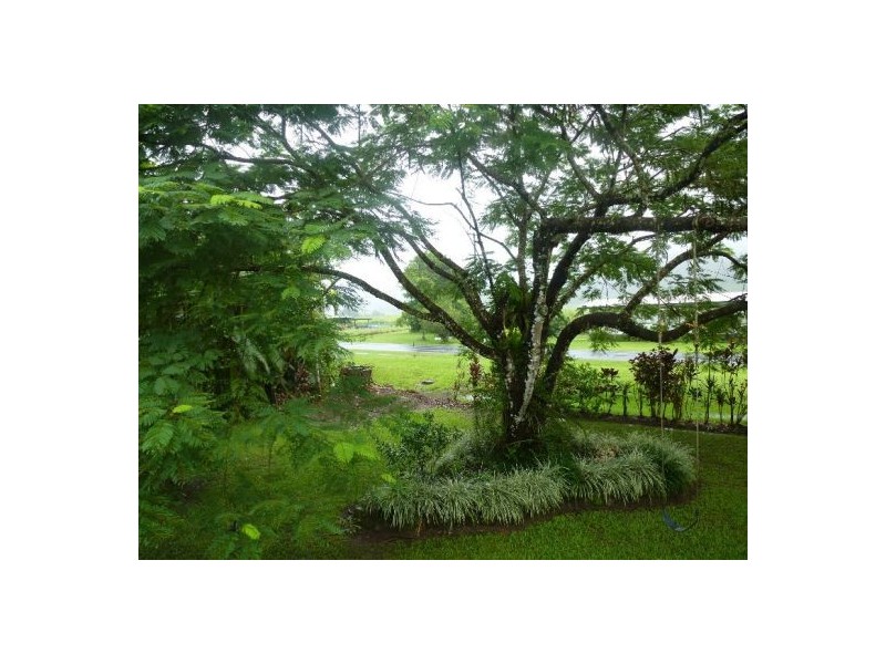 Babinda QLD 4861