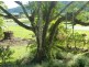 Babinda QLD 4861