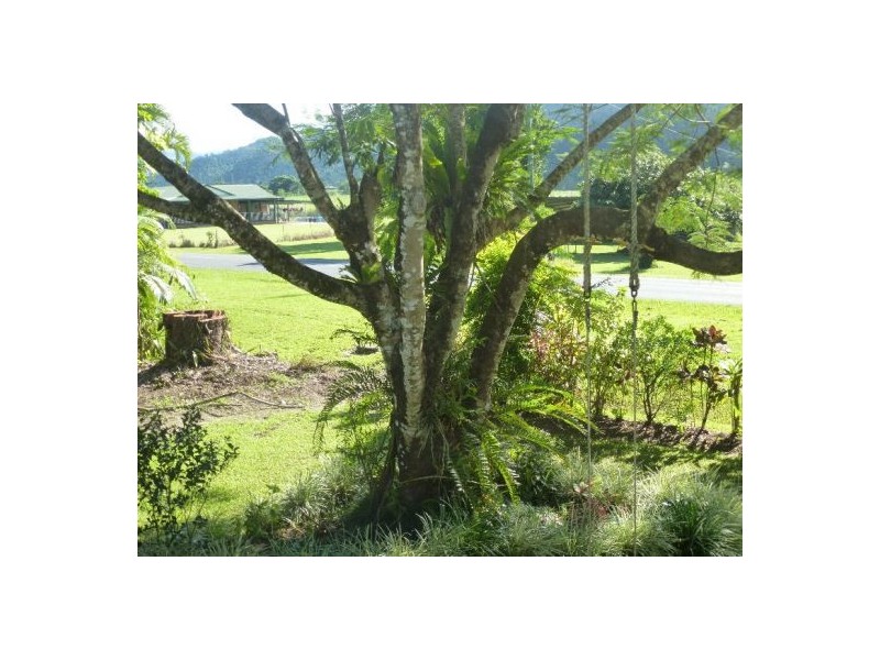 Babinda QLD 4861