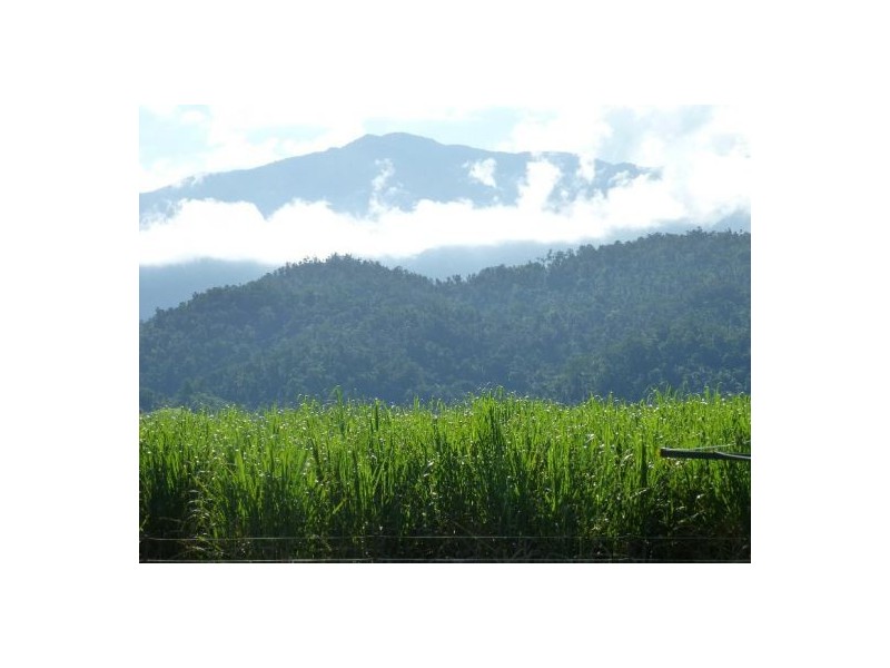 334 Bartle Frere Road, Babinda QLD 4861