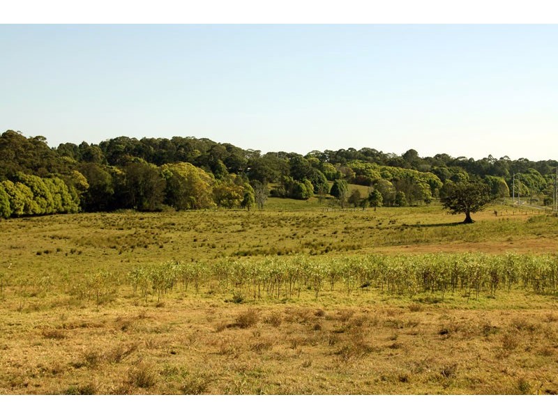 Lot 5 Yagers Lane, Skinners Shoot NSW 2481