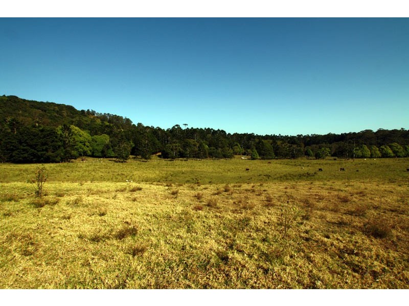 Lot 5 Yagers Lane, Skinners Shoot NSW 2481