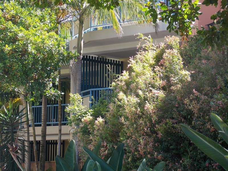 8/8 Byron Street, Byron Bay NSW 2481