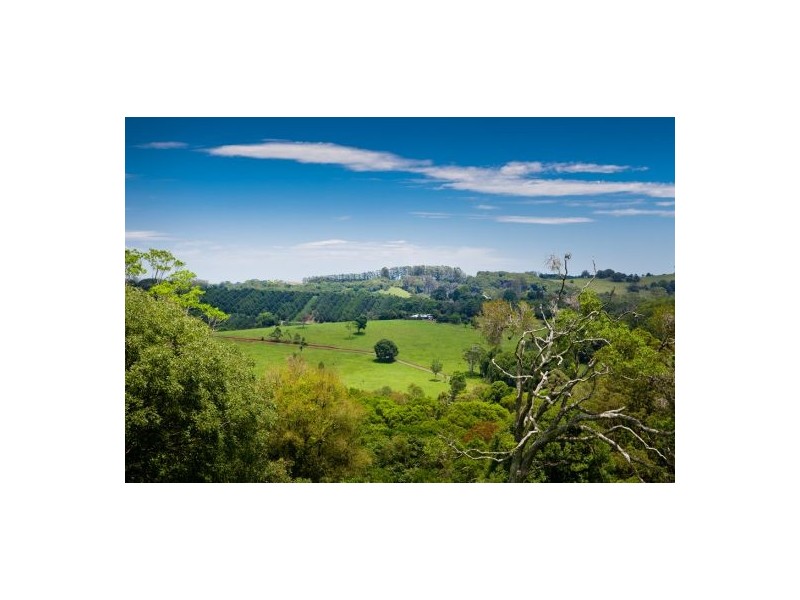 Rosebank NSW 2480