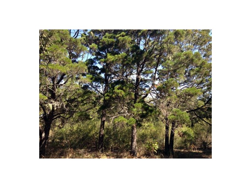 113-115 Broken Head Rd, Byron Bay NSW 2481