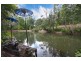 Wilsons Creek NSW 2482
