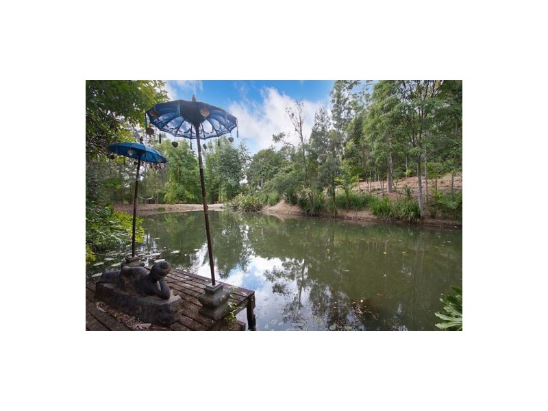 Wilsons Creek NSW 2482
