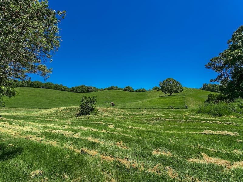 892 Main Arm Road, Main Arm NSW 2482