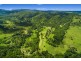 478 Tuntable Creek Road, Tuntable Creek NSW 2480