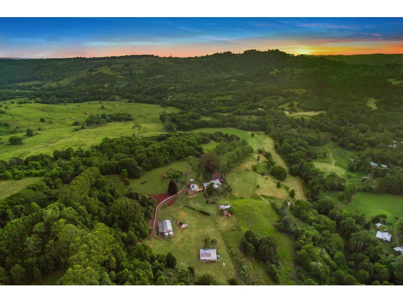 478 Tuntable Creek Road, Tuntable Creek NSW 2480