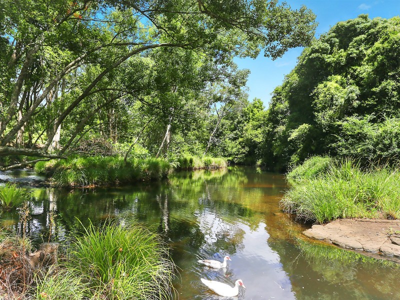 478 Tuntable Creek Road, Tuntable Creek NSW 2480