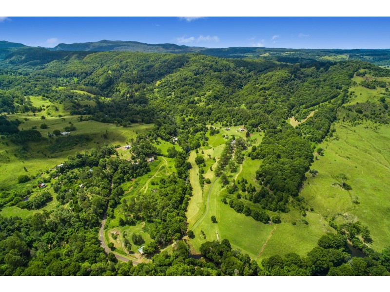 478 Tuntable Creek Road, Tuntable Creek NSW 2480