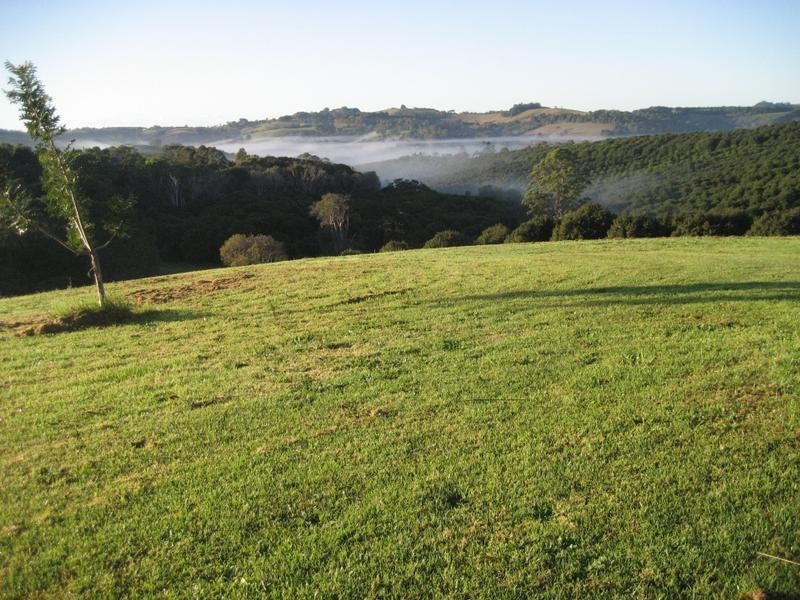 311 Booyong Road, Nashua NSW 2479