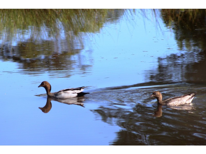 1533 Nimbin Road, Koonorigan NSW 2480