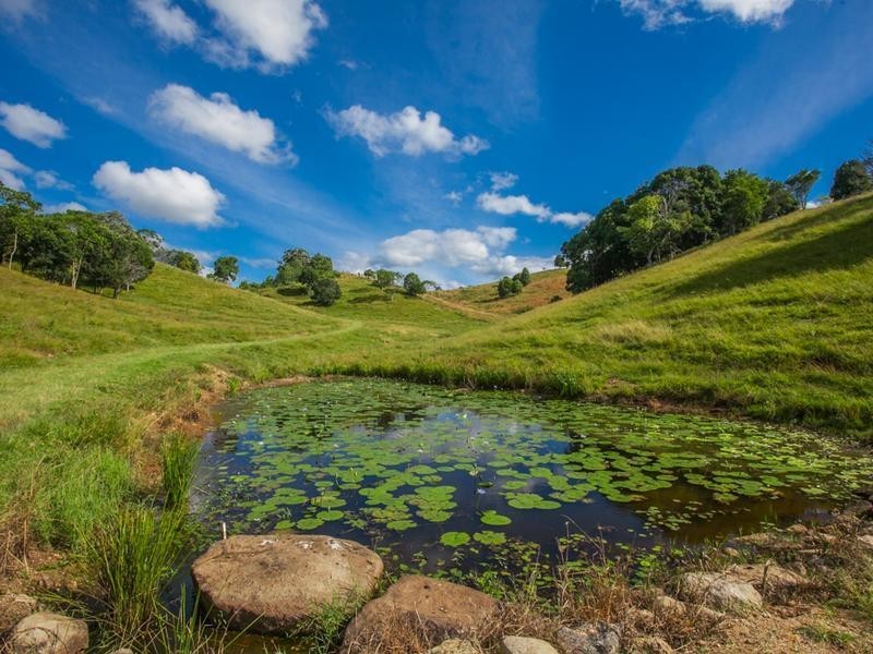 4/49 Mullumbimby Road, Myocum NSW 2481