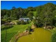 256 Dingo Lane, Myocum NSW 2481
