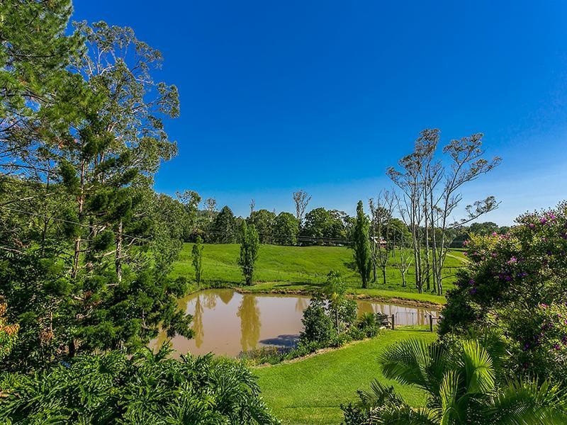 256 Dingo Lane, Myocum NSW 2481