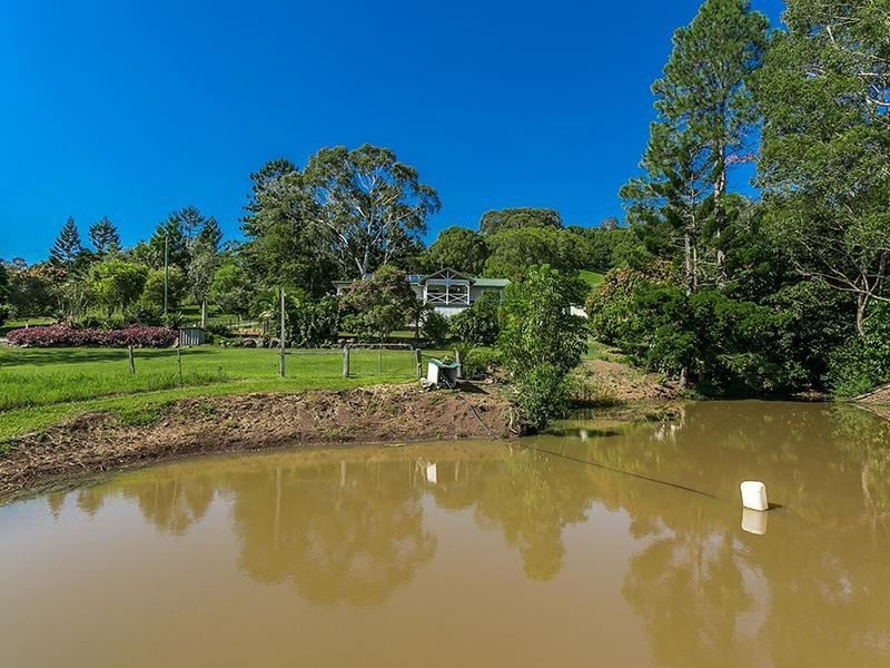 256 Dingo Lane, Myocum NSW 2481
