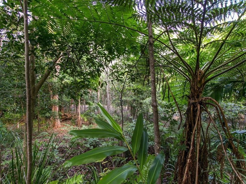 32/24 Scott Street, Byron Bay NSW 2481