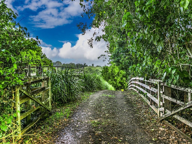 131 Currie Road, The Channon NSW 2480