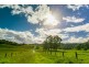 256 Midgen Flat Road, Newrybar NSW 2479