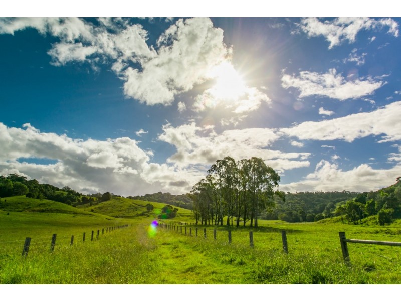 256 Midgen Flat Road, Newrybar NSW 2479