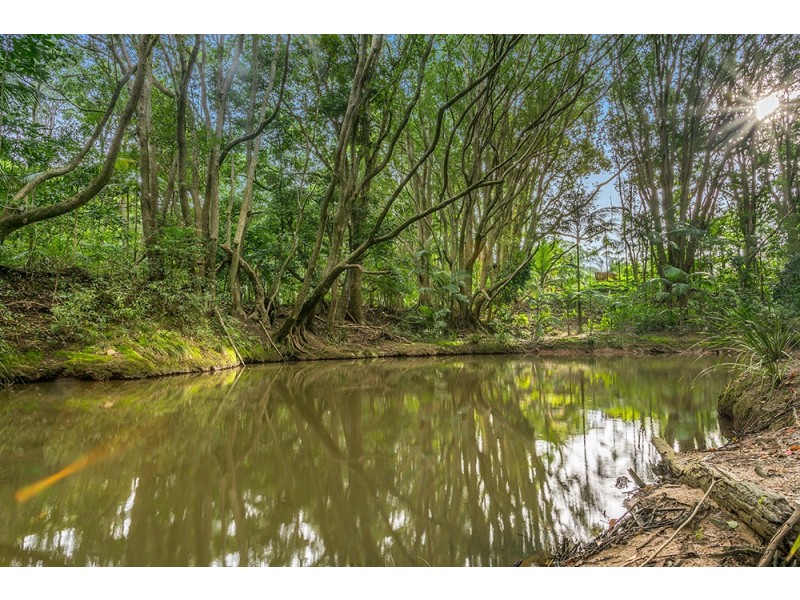 1635 Coolamon Scenic Drive, Mullumbimby NSW 2482