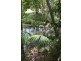 1635 Coolamon Scenic Drive, Mullumbimby NSW 2482