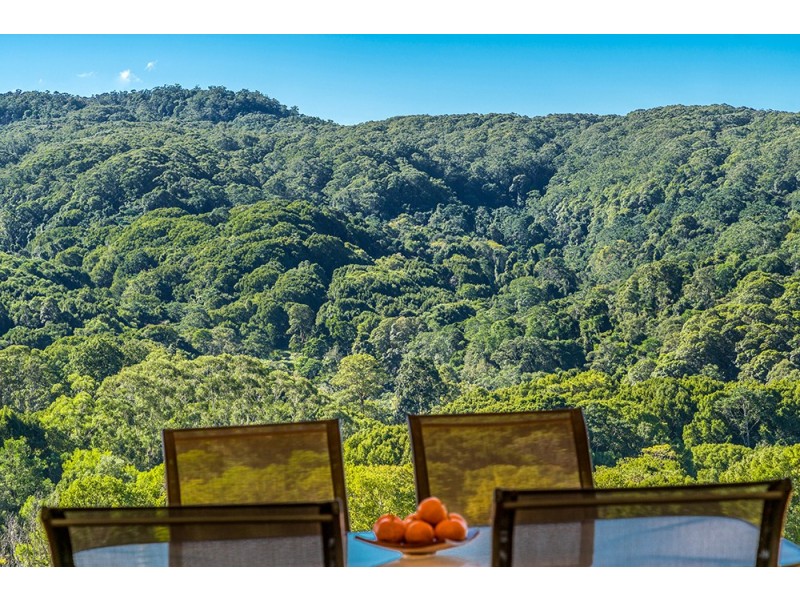 206 Upper Coopers Creek Road, Repentance Creek NSW 2480