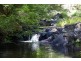 624 Tuntable Creek Road, Tuntable Creek NSW 2480