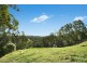624 Tuntable Creek Road, Tuntable Creek NSW 2480