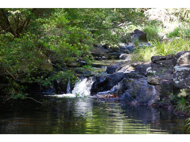 624 Tuntable Creek Road, Tuntable Creek NSW 2480