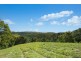 624 Tuntable Creek Road, Tuntable Creek NSW 2480