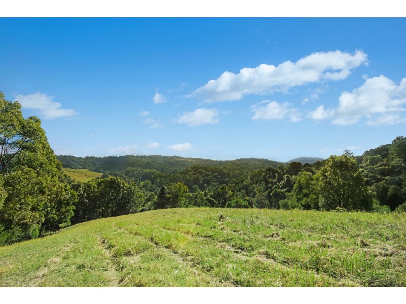 624 Tuntable Creek Road, Tuntable Creek NSW 2480